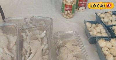 सक्सेस स्टोरी