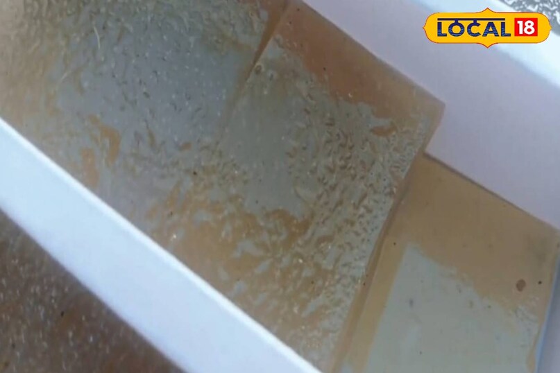 सक्सेस स्टोरी