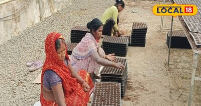 लोगों की डिमांड को देखते हुए फल, सब्जी और अनाज को देसी तरीके से तैयार किया जा रहा है. इसके लिए लोग तमाम तरह की देसी खाद तैयार करते हैं. इनमें से एक है कोकोपीट खाद. आजकल इसका प्रयोग खूब हो रहा है. माना जाता है कि स्वाइल लेस तरीके से होने वाली इस विधि से जो पौधे तैयार होते हैं उनमें रोग प्रतिरोधक क्षमता अधिक होती है. इसमें बहुत तरह के पदार्थों का मिश्रण होता है.