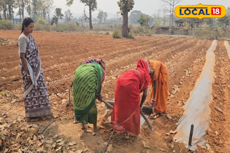 सक्सेस स्टोरी