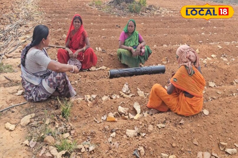 सक्सेस स्टोरी