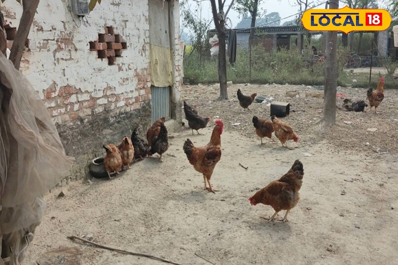 सक्सेस स्टोरी सक्सेस स्टोरी