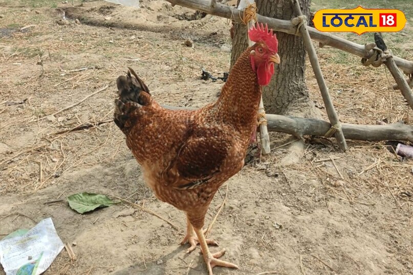 सक्सेस स्टोरी सक्सेस स्टोरी