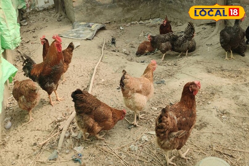सक्सेस स्टोरी सक्सेस स्टोरी