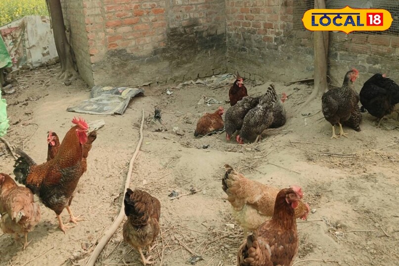 सक्सेस स्टोरी सक्सेस स्टोरी