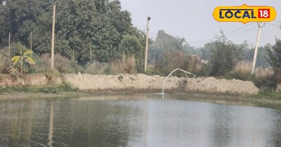 यूट्यूब पर वीडियो देखने के बाद इन पर सकारात्मक प्रभाव पड़ा.यहीं से बिजनेस करने की जुनून जागी.1 दिन पप्पू यादव मोबाइल में वीडियो देख रहे थे. इसी दौरान मछली पालन करने का वीडियो एक नजर आ गया. वीडियो देखने के बाद पप्पू यादव काफी प्रभावित हुए, उसके बाद दोनों भाई उत्तर प्रदेश बंगाल जाकर मछली पलकों से मिलकर मछली पालन करने का आईडिया लिया. 