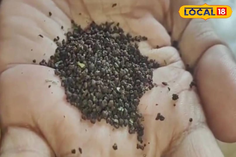 हेल्थ हेल्थ