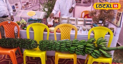 मेले में आने वाले किसान, छात्र और आगंतुक इसे देखकर रुक जा रहे हैं और इसकी तस्वीरें ले रहे हैं. कई किसानों का कहना है कि उन्होंने अपने जीवन में इतना लंबा केला का घउर पहले कभी नहीं देखा. यही कारण है कि यह अनोखा केला पूरे मेला परिसर में आकर्षण का प्रमुख केंद्र बना हुआ है और लोग इसके बारे में जानने के लिए वैज्ञानिकों से लगातार सवाल भी कर रहे हैं.