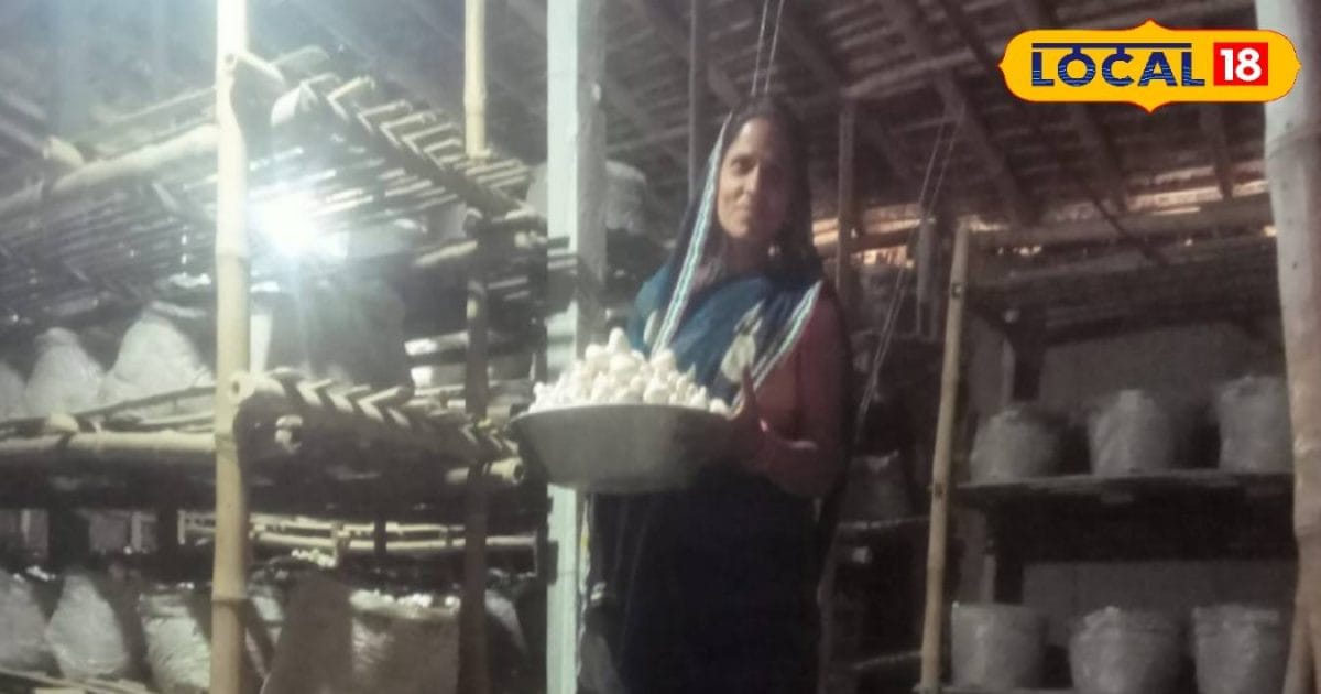 अब मौसम नहीं रोक पाएगा खेती, AC प्लांट में सालभर उग रहा बटन मशरूम