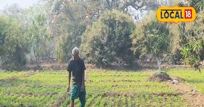 भिखू राम की कहानी अन्य किसानों के लिए प्रेरणा है.