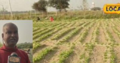 Farmer Surendra Singh's Multi-Cropping Miracle: Full Cost Recovered in 25 Days!