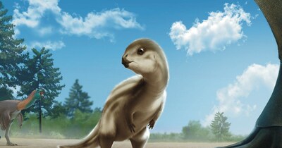 कोरियाई प्रायद्वीप पर मिले बेबी डायनासोर के अवशेष (Artwork by Jun Seong Yi)