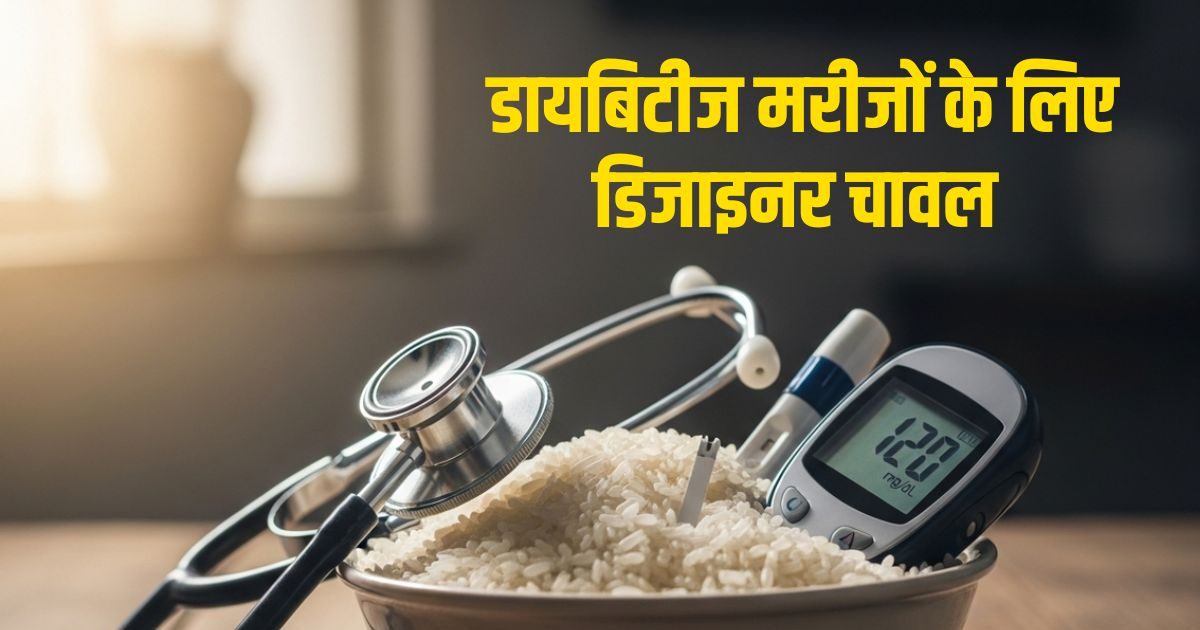 Designer Rice Csir Anti-Diabetic Rice| Designer Rice : ऐसा डिजाइनर राइस जो शुगर पर लगाएगा ...