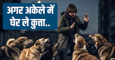 कुत्तों के हमले पर क्या करें. 