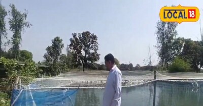 1.5 बीघा में मछली पालन से किसान को ₹2.5 लाख का मुनाफा, खेती से 5 गुना आय