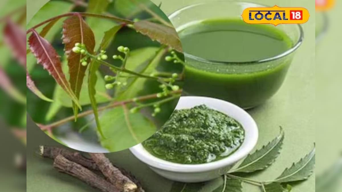 कई बीमारियों में लाभकारी है ये हरा पत्ता… दांत, बाल और त्वचा के लिए रामबाण, जानें फायदे