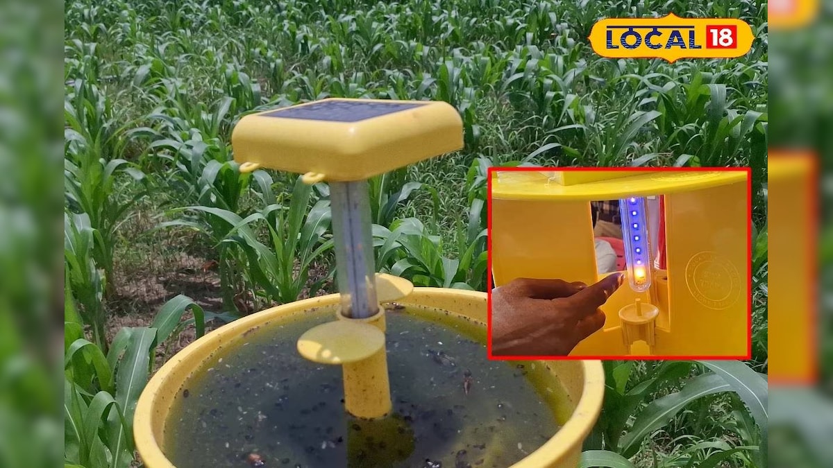 रोशनी से होगा कीटों का सफाया! लाइट ट्रैप तकनीक अपनाएं किसान, कम लागत में सुरक्षित होगी फसल