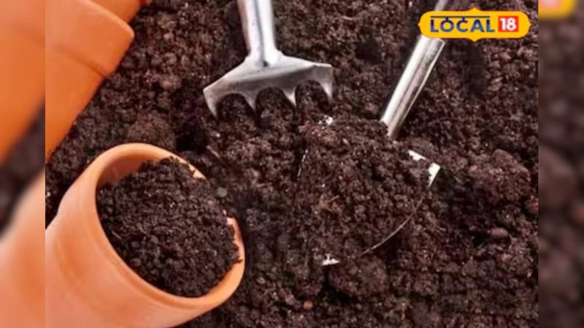 सब्जी की खेती से पहले मिट्टी की जांच जरूरी, बढ़ेगी पैदावार और स्वाद, मिलेगी रोगमुक्त और अच्छी फसल