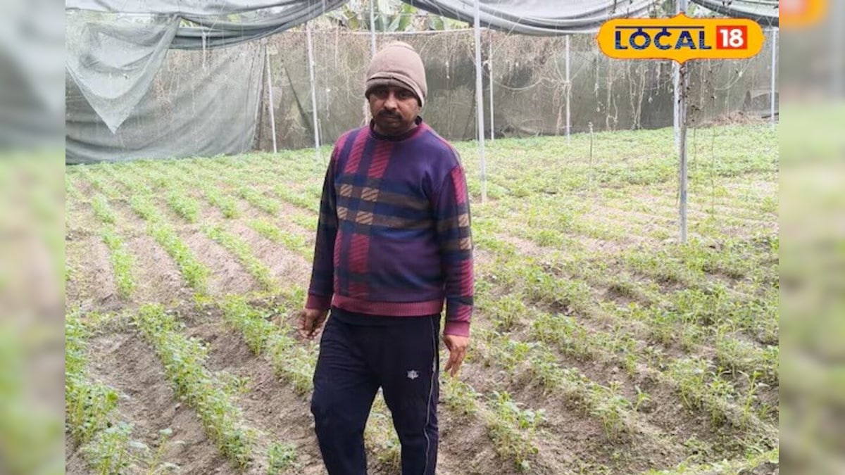 Video: 45 दिन में फसल, 3 गुना मुनाफा! मुजफ्फरपुर में इजराइल वाला 'सुपर आलू', सीजन में 18 लाख तक कमाई