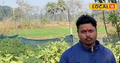 Manoj Shah's Multi-Layer Farming Model: 12 Months Production, Bumper Earnings!