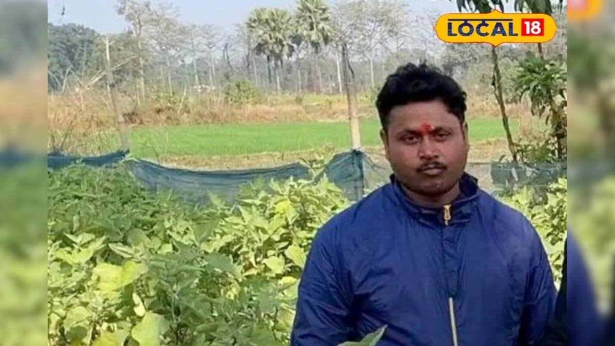 Video: मल्टी-लेयर फार्मिंग का सफल मॉडल! साल के 12 महीने लगातार उत्पादन, खूब छापते हैं नोट