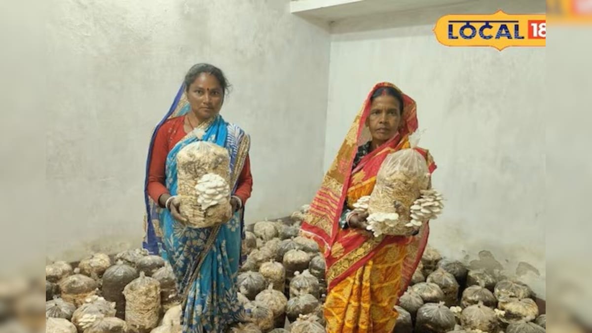 Video: देवरानी-जेठानी का सुपरहिट बिजनेस! 10/12 के कमरे में उगा रही सफेद सोना, गांव में ही लगा दी नोटों की झड़ी