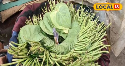 पान के पत्ते के अद्भुत फायदे 