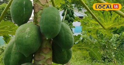 प्रतीकात्मक तस्वीर 