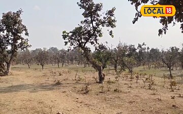 कुंदरी लाह बगान