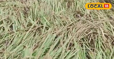 लेमनग्रास के फायदे