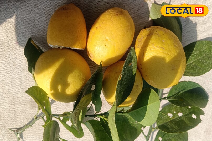 Check and Sort Regularly