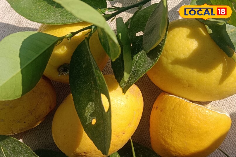 Keep away from sun light 