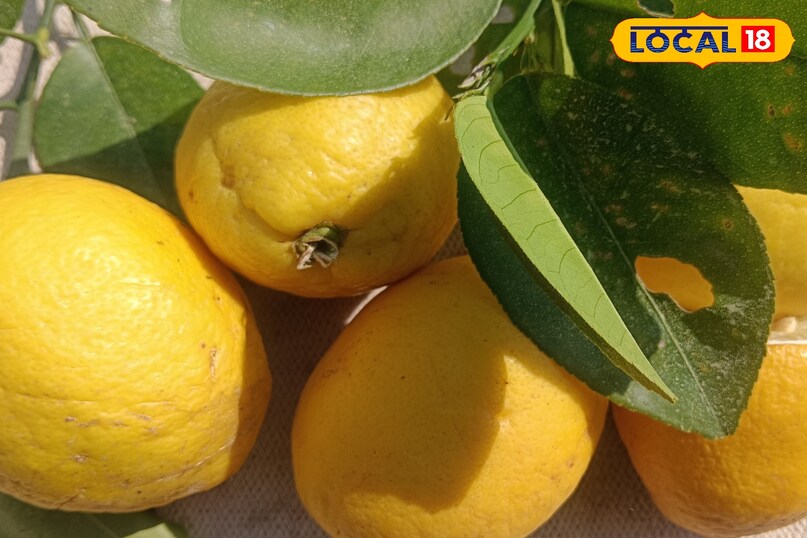 Store in a container 