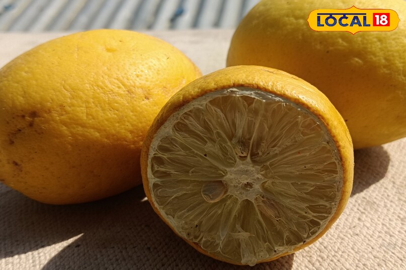 Proper Storage for Cut Lemons