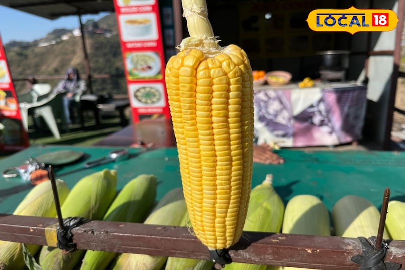 chemical treated corn 