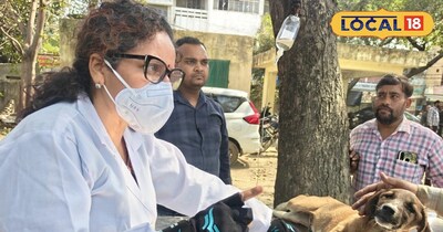 खेलता-कूदता पिल्ला अचानक हो जाए गुमसुम? हो सकता है पार्वो का हमला, देरी जानलेवा