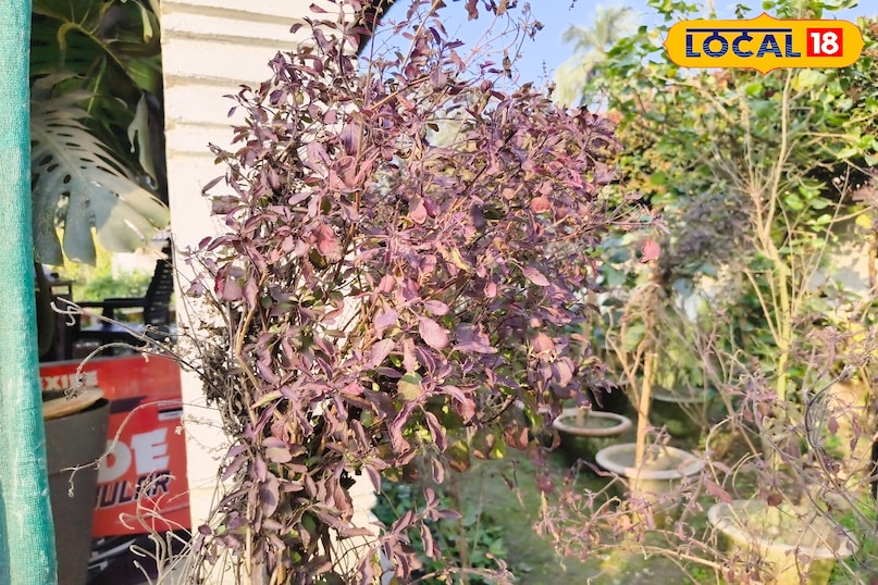 वास्तु शास्त्र वास्तु शास्त्र