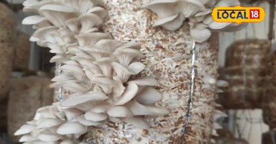 Neelam Bara Earns 22K Monthly from Backyard Mushroom Farm, Inspiring Rural Women