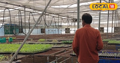 बिहार का हाईटेक नर्सरी