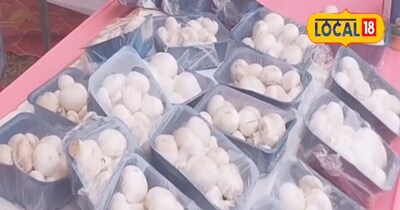 मशरूम की तस्वीर 