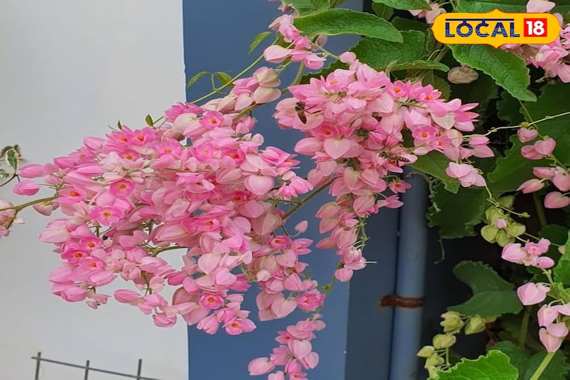 आकर्षक आकर्षक