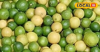 नींबू सेहत के लिए हो सकते हैं नुकसानदायक।