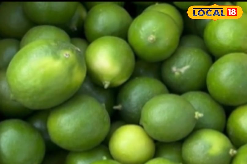 মোরাদাবাদ খবর, হিন্দি খবর, আপ খবর, স্থানীয় খবর, মোরাদাবাদ খবর, হিন্দি খবর, ইউপি খবর, স্থানীয় খবর।