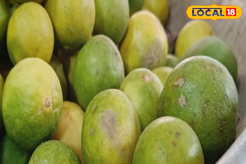 মোরাদাবাদ খবর, হিন্দি খবর, আপ খবর, স্থানীয় খবর, মোরাদাবাদ খবর, হিন্দি খবর, ইউপি খবর, স্থানীয় খবর।