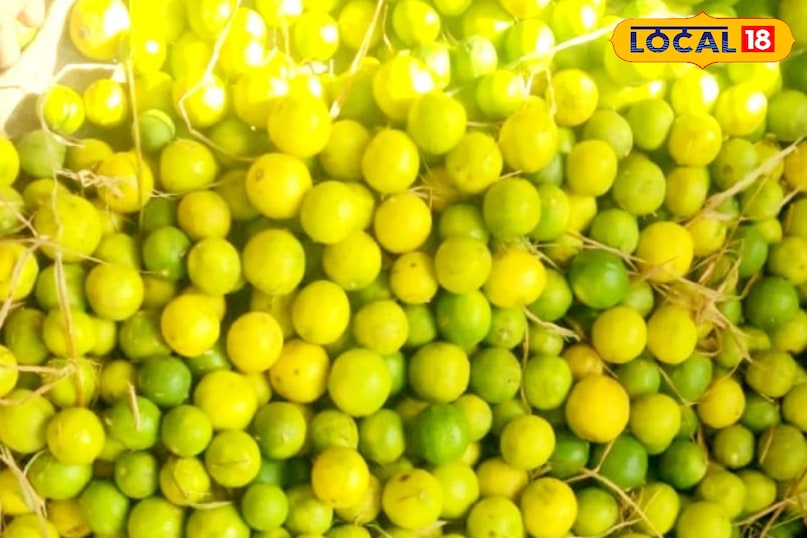 মোরাদাবাদ খবর, হিন্দি খবর, আপ খবর, স্থানীয় খবর, মোরাদাবাদ খবর, হিন্দি খবর, ইউপি খবর, স্থানীয় খবর।