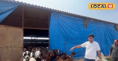 बकरी पालन करने वाला युवा व्यापारी