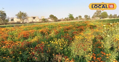 नवादा में गेंदा खिला, किसान की चिंता बढ़ी.