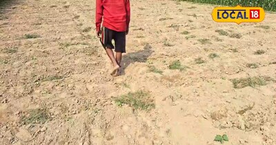 कम लागत...ज्यादा मुनाफा! सिर्फ 60 दिनों में एक लाख कमाई! <br><br><br><br>अररिया: