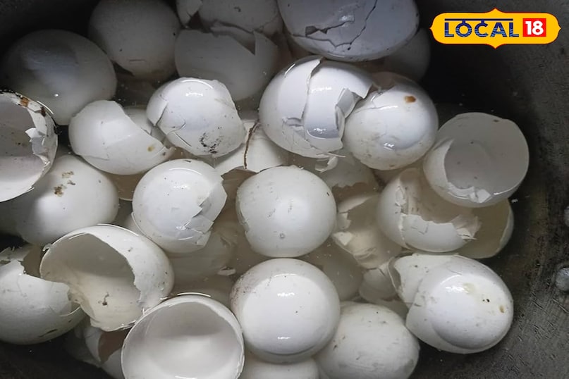 अंडे के छिलके