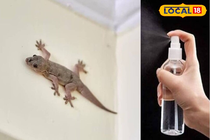 कपूर और डिटॉल का असरदार स्प्रे